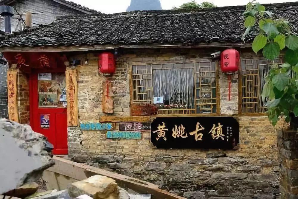 救援瓢虫宝宝